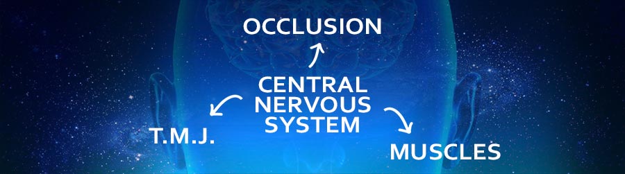 OCCLUSION and THE CENTRAL NERVOUS SYSTEM(CNS)