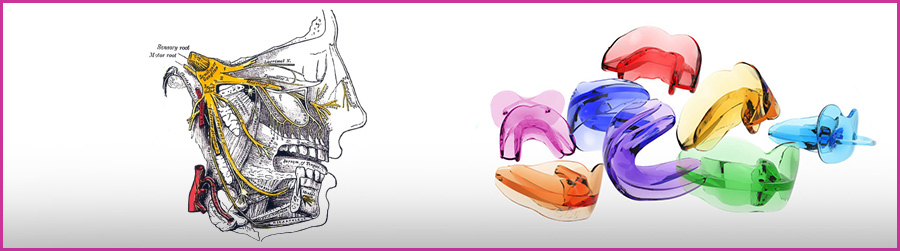 BIO ACTIVATORS AND THE TRIGEMINAL NERVE