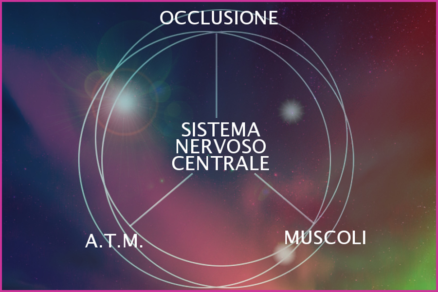 L'OCCLUSIONE È IL SISTEMA NERVOSO CENTRALE (SNC)