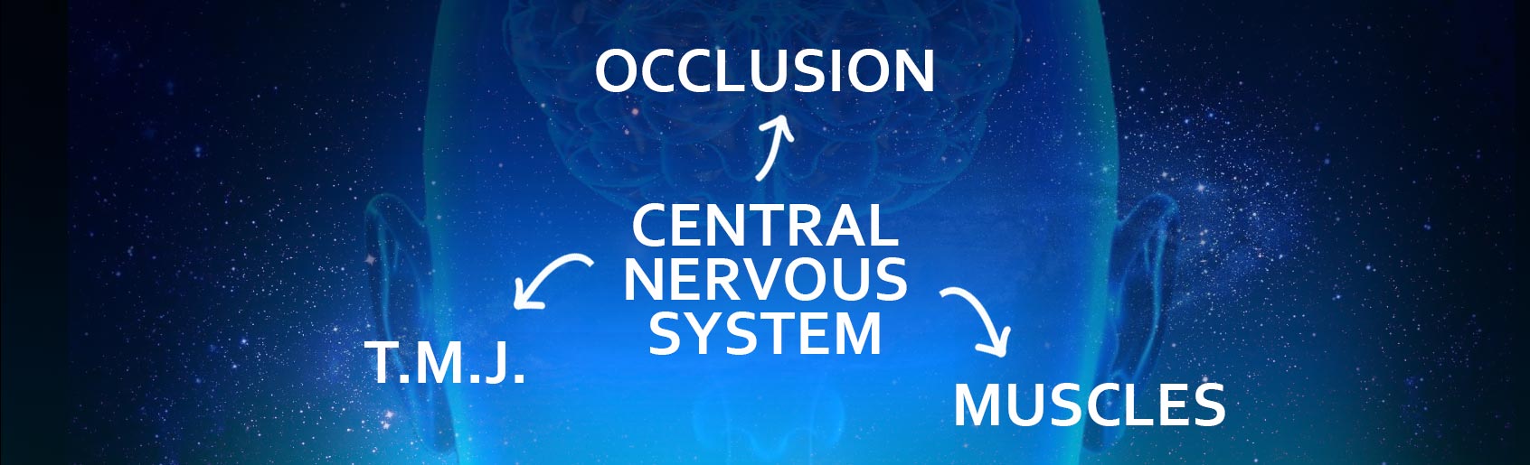 CENTRAL NERVOUS SYSTEM